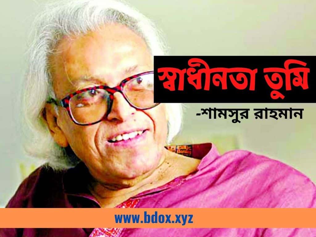You are currently viewing স্বাধীনতা তুমি কবিতা | শামসুর রাহমান