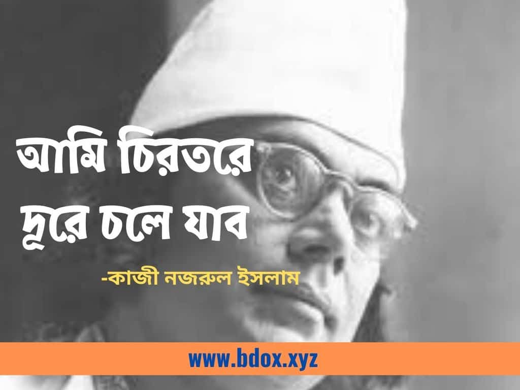 You are currently viewing আমি চিরতরে দূরে চলে যাব | Ami Chirotore Dure Chale Jabo Lyrics
